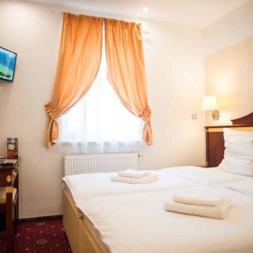 Camera twin economy cu vedere spre curte