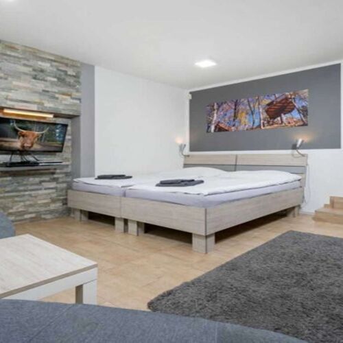 Apartament 2-osobowy z 1 pomieszczeniem sypialnianym (możliwa dostawka)