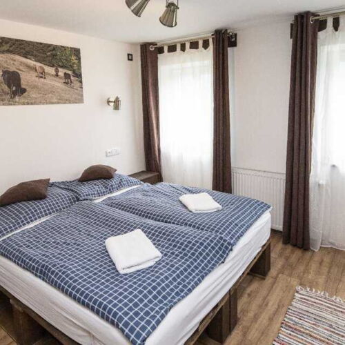 Pokoj se sprchou  s manželskou postelí (s možností přistýlky)