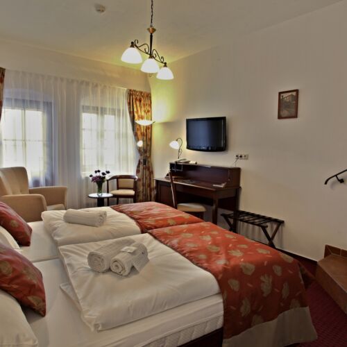 Pokój 2-osobowy z widokiem na miasto