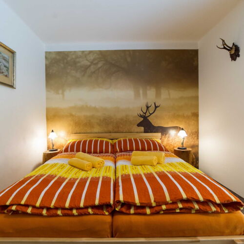 Camera dubla cu duș