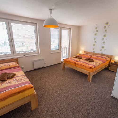 Apartament cu duș cu chicinetă proprie cu 2 camere pentru 5 pers.