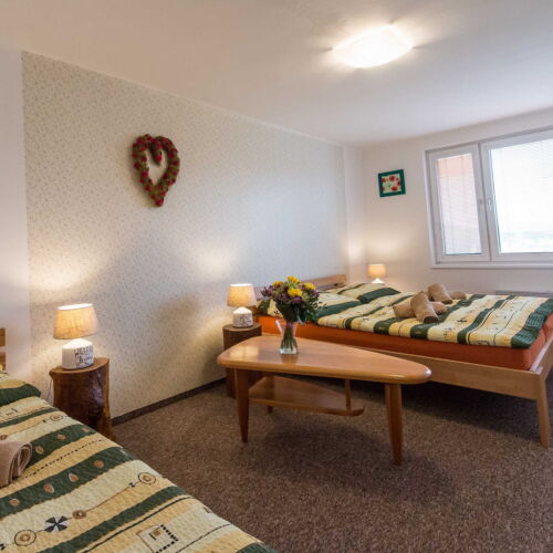 Camera tripla cu duș