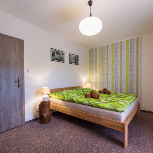 Apartament cu balcon cu duș cu 1 camera pentru 2 pers.