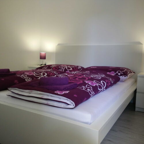 Apartament 2-osobowy z prysznicem z własną kuchnią (możliwa dostawka)