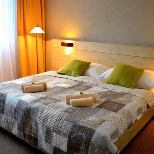 Camera dubla cu aer condiționat cu duș (se poate solicita pat suplimentar)