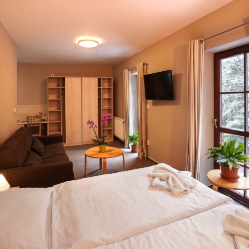 Comfort Quadruple Room (extra beds available)
