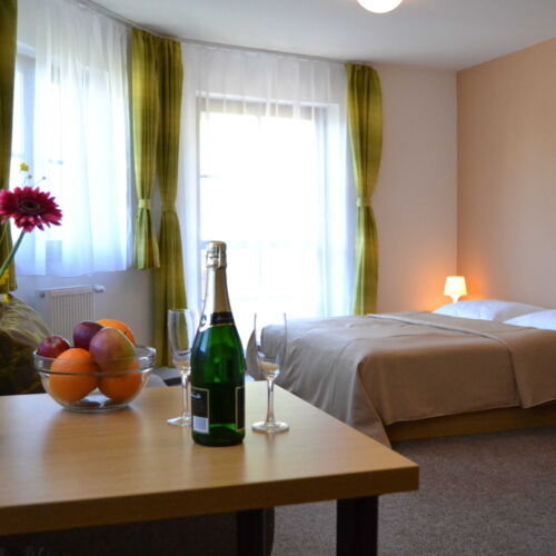 Pokoj se sprchou s balkónem pro 2 os. (s možností přistýlky)