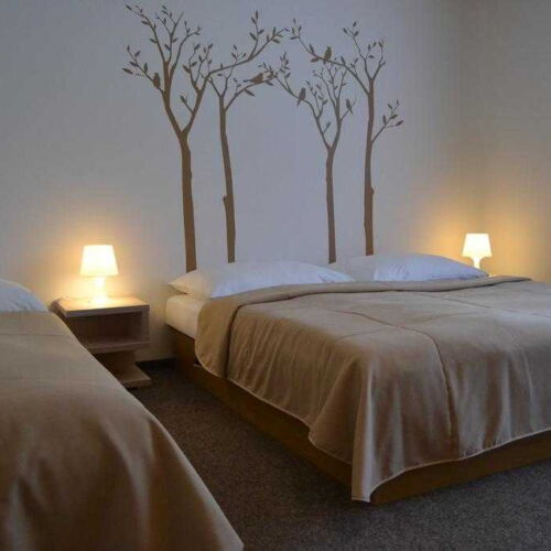 Pokoj se sprchou s balkónem pro 4 os. (s možností přistýlky)