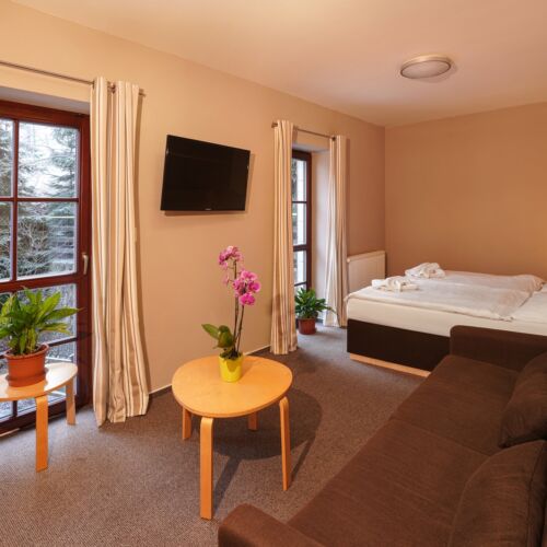 Comfort Double Room (extra beds available)