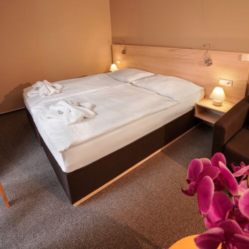 Comfort Double Room