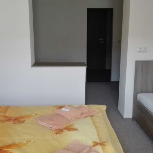 Camera tripla cu duș (se poate solicita pat suplimentar)