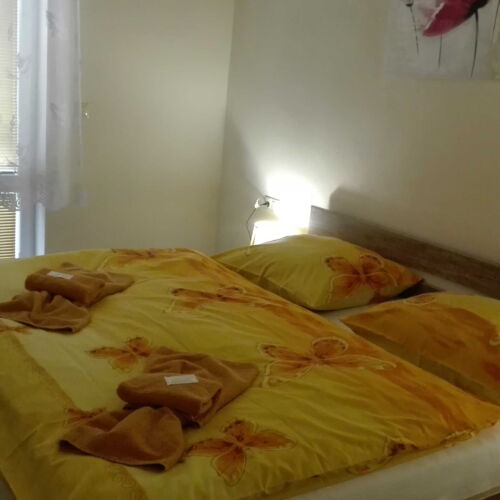 Camera twin confort cu duș (se poate solicita pat suplimentar)