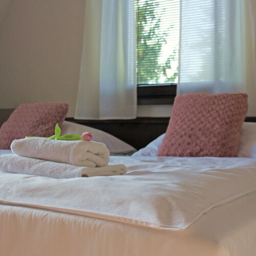 Air Conditioned Twin Room with Shower (extra bed available)