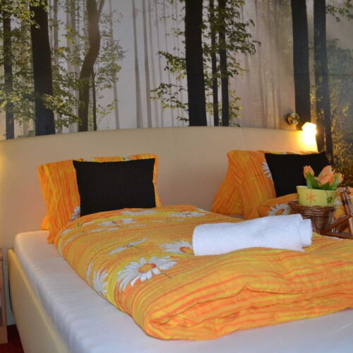 Pokój 2-osobowy z prysznicem ze wspólnym aneksem kuchennym (możliwa dostawka)