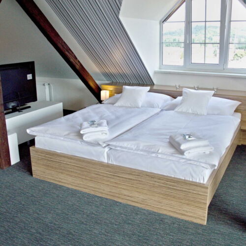 Apartament cu aer condiționat cu chicinetă proprie cu 1 camera pentru 2 pers.