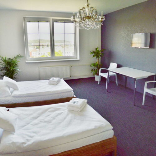 Camera twin cu aer condiționat cu duș