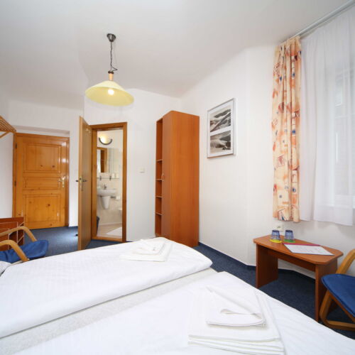 Camera dubla standard