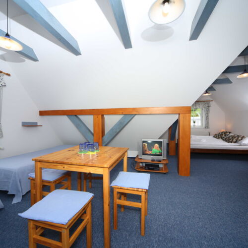 Camera cvadrupla (se poate solicita pat suplimentar)