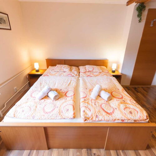 Pokoj se sprchou  s manželskou postelí