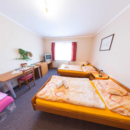 Pokoj se sprchou  pro 2 os. (s možností přistýlky)