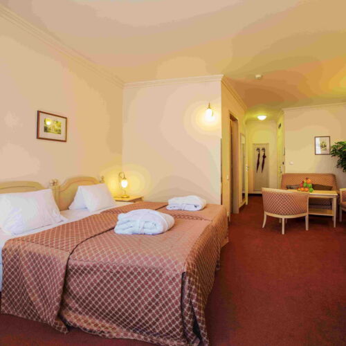 Lux Pokoj s manželskou postelí s výhledem na město (s možností přistýlky)