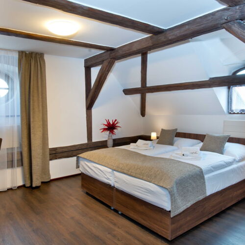 Standard Pokoj se sprchou pro 2 os.