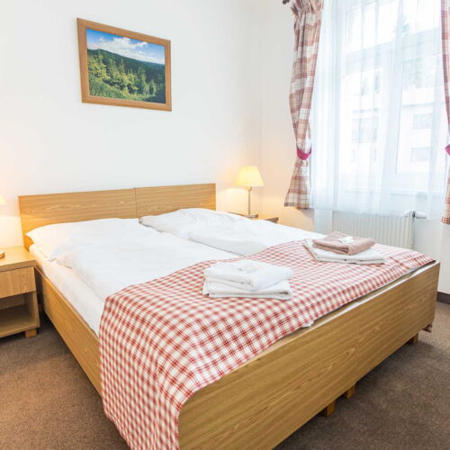 Pokoj se sprchou  pro 3 os.