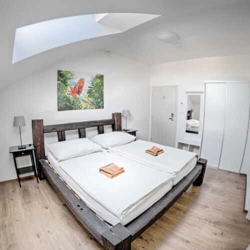 Camera dubla cu duș cu chicinetă proprie