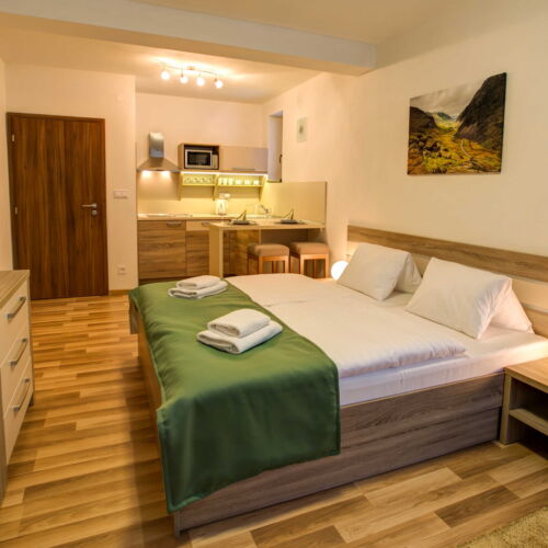 Camera twin standard cu duș (se poate solicita pat suplimentar)