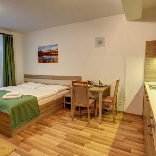 Camera twin standard cu duș (se poate solicita pat suplimentar)