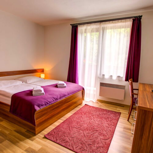 Apartament deluxe cu duș pentru 2 pers. (se poate solicita pat suplimentar)