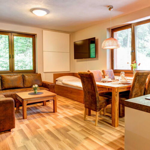 Camera tripla studio family (se poate solicita pat suplimentar)