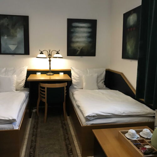 Camera twin cu duș (se poate solicita pat suplimentar)