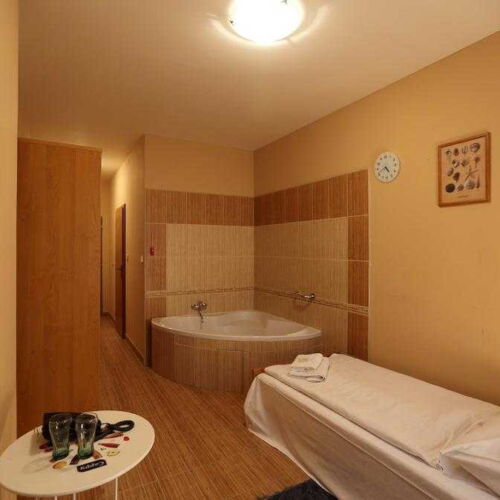 Standard Pokoj se sprchou pro 1 os.