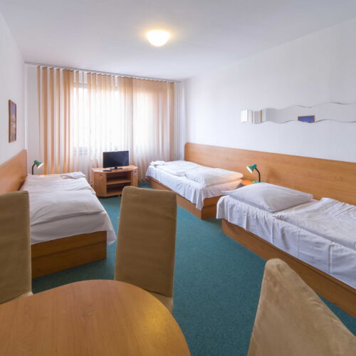 Camera tripla cu duș cu chicinetă proprie