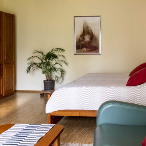 Zuhanyzós saját teakonyhával 2 fős apartman (pótágyazható)