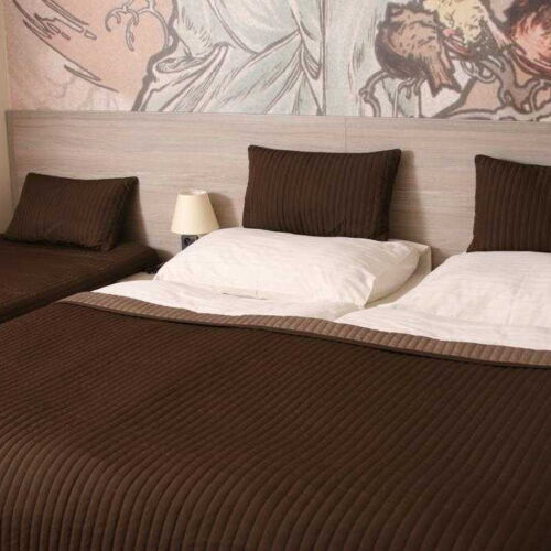 Pokoj se sprchou  pro 3 os.