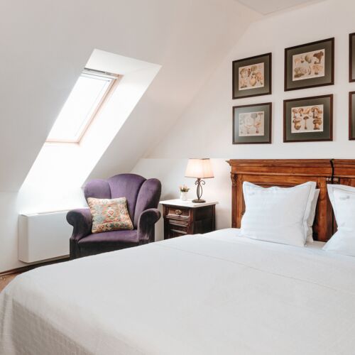 Deluxe Suita pro 4 os. se 2 ložnicemi v podkroví