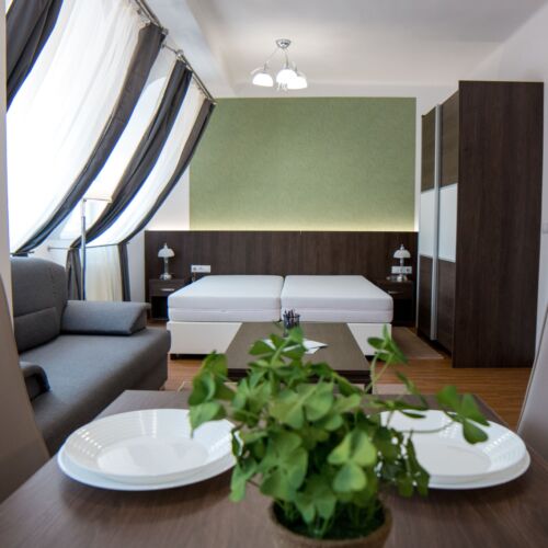 Apartament classic romantică cu 1 camera pentru 4 pers.