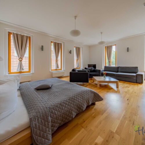 1-Room Apartment for 2 Persons with Bathtub and Kitchenette (extra beds available)
