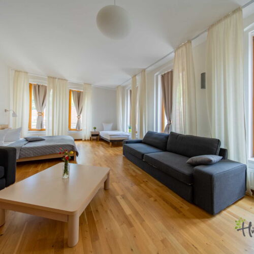 1-Room Apartment for 3 Persons with Shower and Kitchenette (extra beds available)