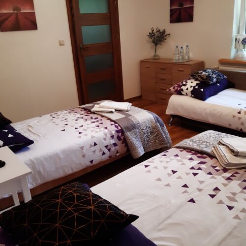 Pokój 2-osobowy na parterze z widokiem na las