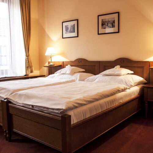 Camera twin cu duș cu aer condiționat (se poate solicita pat suplimentar)