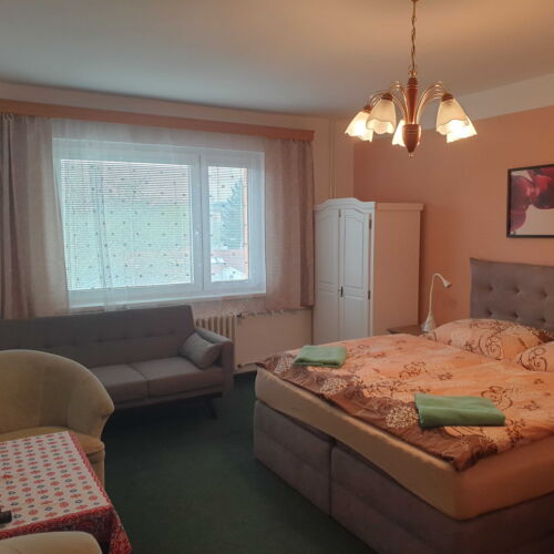 Pokoj se sprchou s manželskou postelí na přízemí (s možností přistýlky)