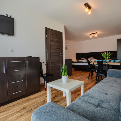 Apartament 3-osobowy z 1 pomieszczeniem sypialnianym