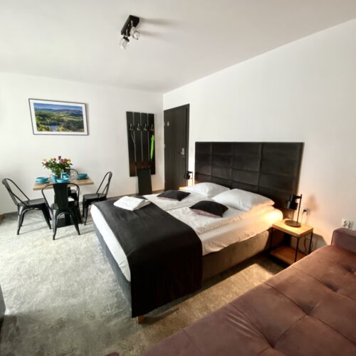 Apartament 3-osobowy z 1 pomieszczeniem sypialnianym