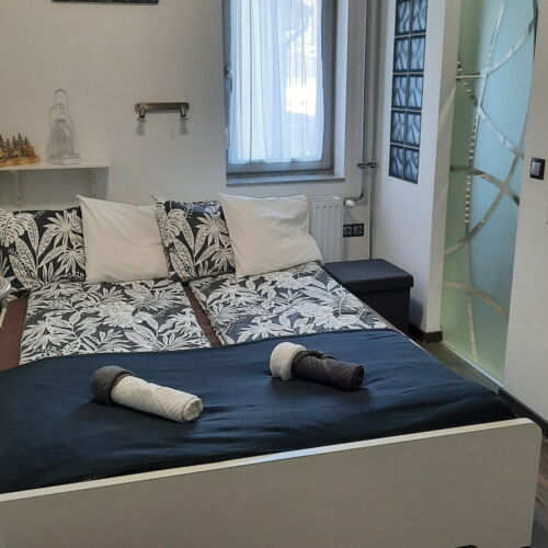 Apartament deluxe cu balcon cu 1 camera pentru 2 pers.