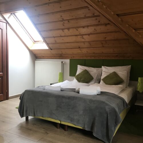 Apartament 2-osobowy na piętrze Studio z 1 pomieszczeniem sypialnianym (możliwa dostawka)