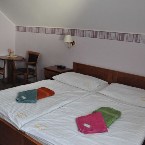 Double Room with Shower and Shared Kitchenette